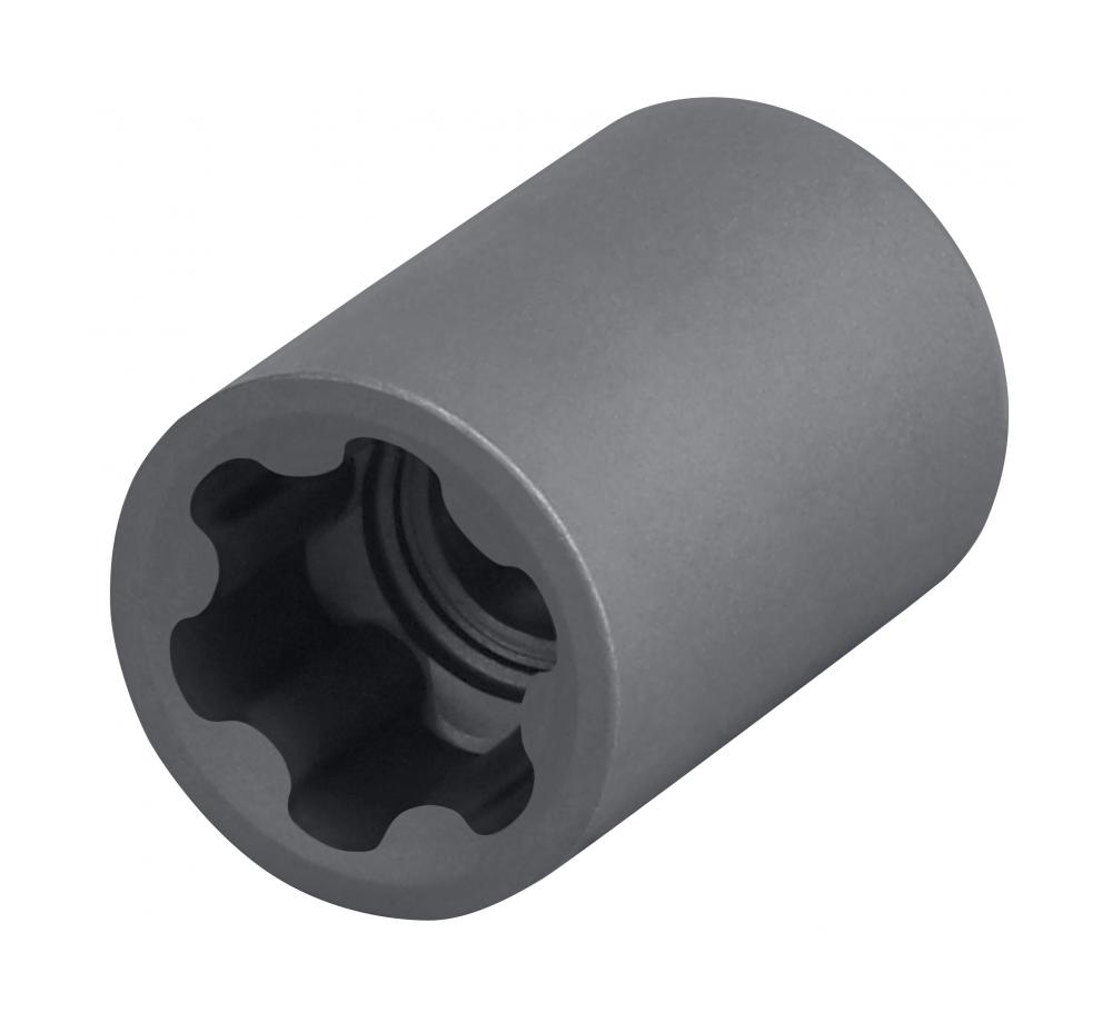 External Torx PLUS Socket