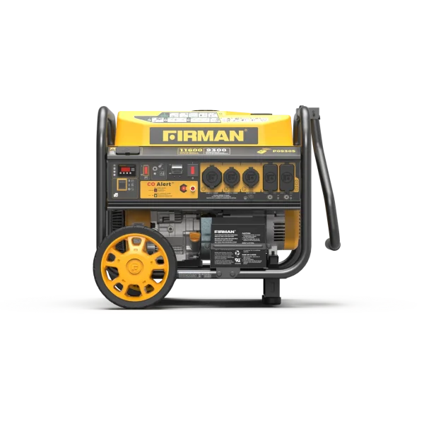 Firman Gas Portable Generator 11400/9200W Remote Start TT-30 Adapter CO Alert 50 ST CAN (P09305)