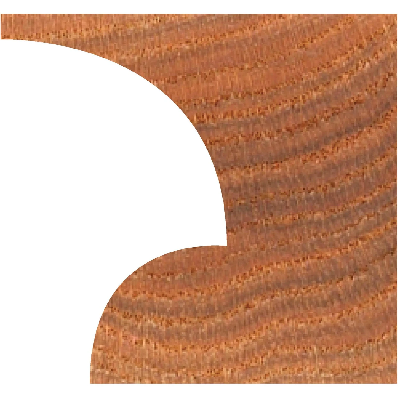 Grizzly Industrial Carbide-Tipped Shaper Cutter, 1/2" Bore — product image 3