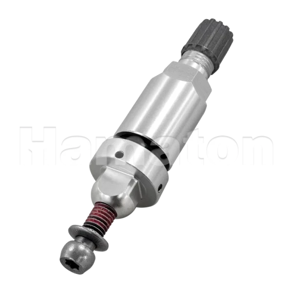 Hamaton 6-284-BS - Box of 10 Replacement Clamp-In Valves for Sysgration Tesla Sensor