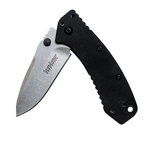 Kershaw Cryo G-10 Pocket Knife (1555G10)