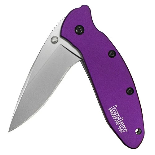 Kershaw Purple Scallion Folding Knife (1620PUR)