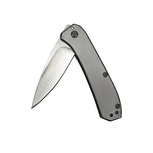 Kershaw 2.5" Amplitude Drop Point Pocket Knife (3870)