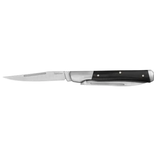 Kershaw Allegory 2-Blade Slipjoint Folding Knife (4385)