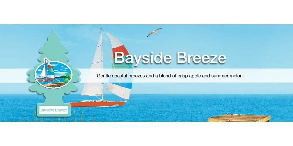 Little Trees Air Fresheners 6-Pack Bayside Breeze — product image 3