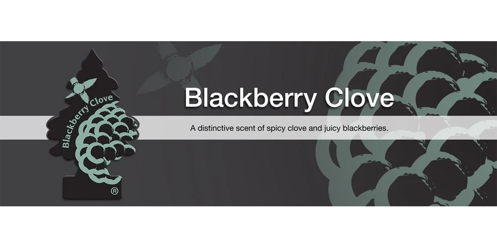 Little Trees Air Fresheners 6-Pack Blackberry Clove — product image 3