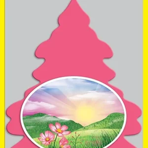 Little Trees Air Fresheners 6-Pack Morning Fresh