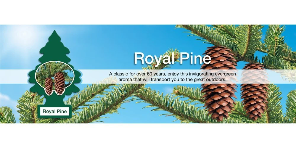 Little Trees Air Fresheners 6-Pack Royal Pine — product image 3