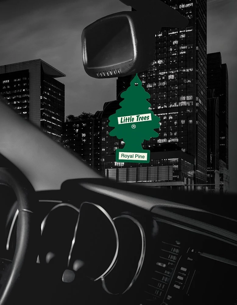 Little Trees Air Fresheners 6-Pack Royal Pine — product image 4