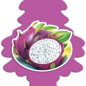 Little Trees U6P-60397 Air Car Freshener Traditional Dragon Fruit, 6-Pack