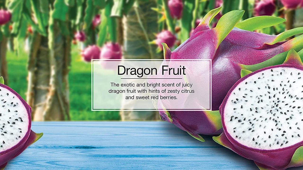 Little Trees U6P-60397 Air Car Freshener Traditional Dragon Fruit, 6-Pack — product image 5