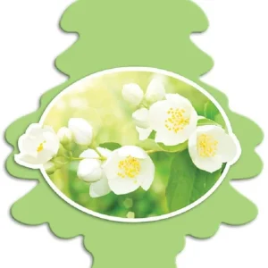 Little Trees U6P-60433 Air Car Freshener Traditional Jasmin, 6-Pack