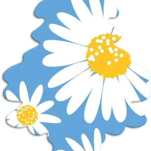 Little Trees U6P-67347 Air Car Freshener Traditional Daisy Fields, 6-Pack