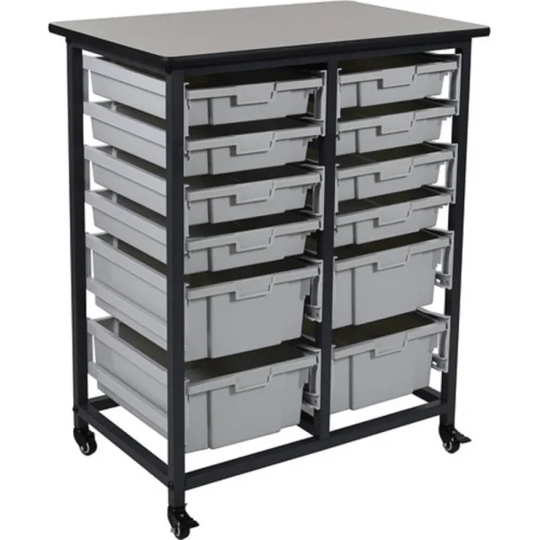 Luxor Workspaces Double Row Mobile Bin Storage Unit, Bins (MBS-DR-8S4L-CL)