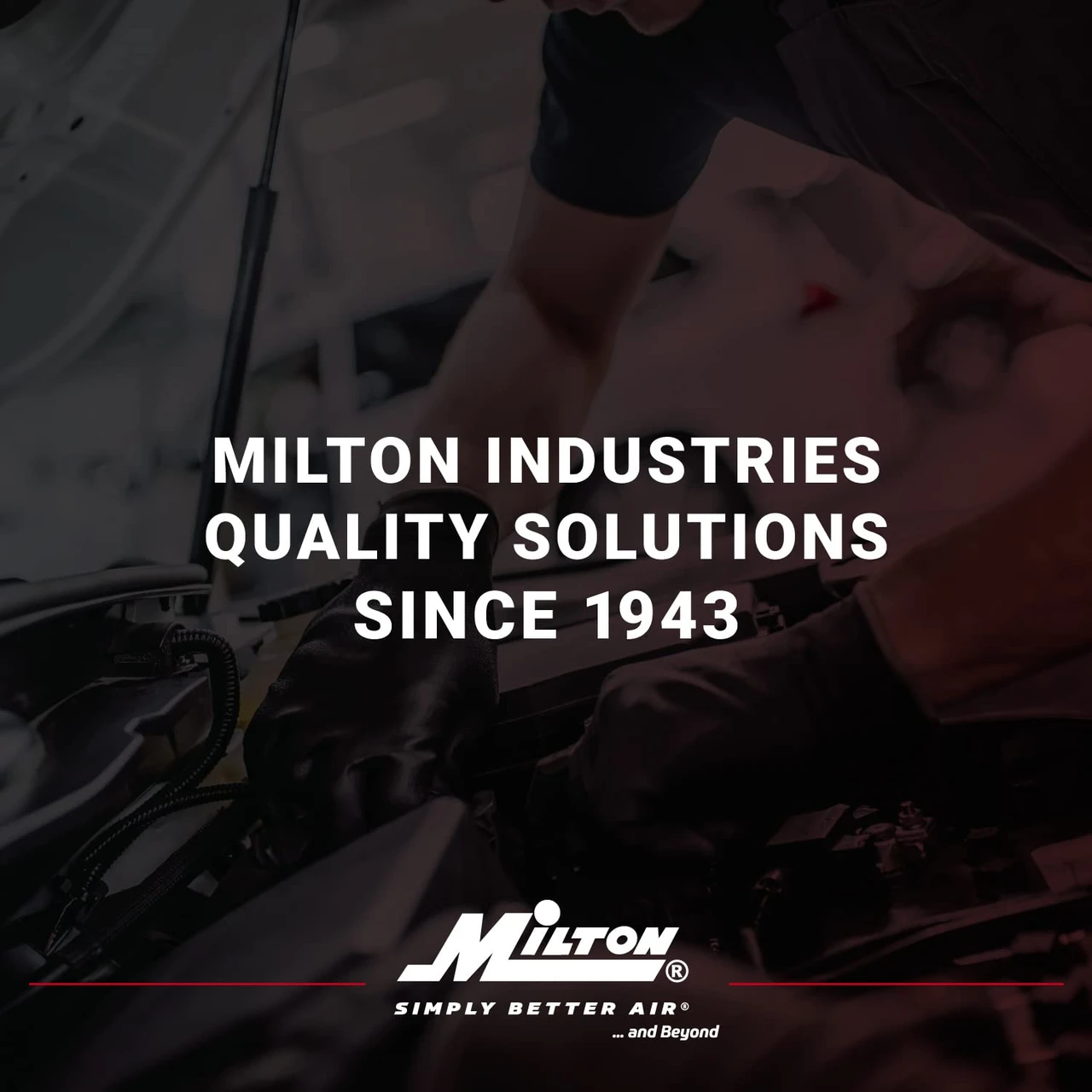 Milton 1072-2 1/2" Jumbo Desiccant Dryer System — product image 5