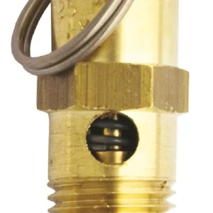 Milton 1095-150 1/4 MNPT Non Coded Safety Relief Valve, 150 psi pop off