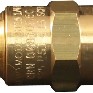 Milton S1090-125 1/4" MNPT ASME Safety Valve - 125 PSI Pop off Pressure