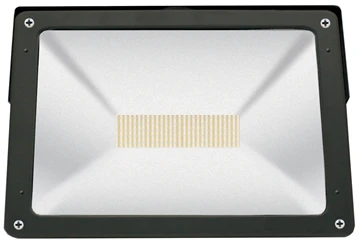 Phoenix USA 50W 110V Rectangle Flood Light (PWLS110V50W)