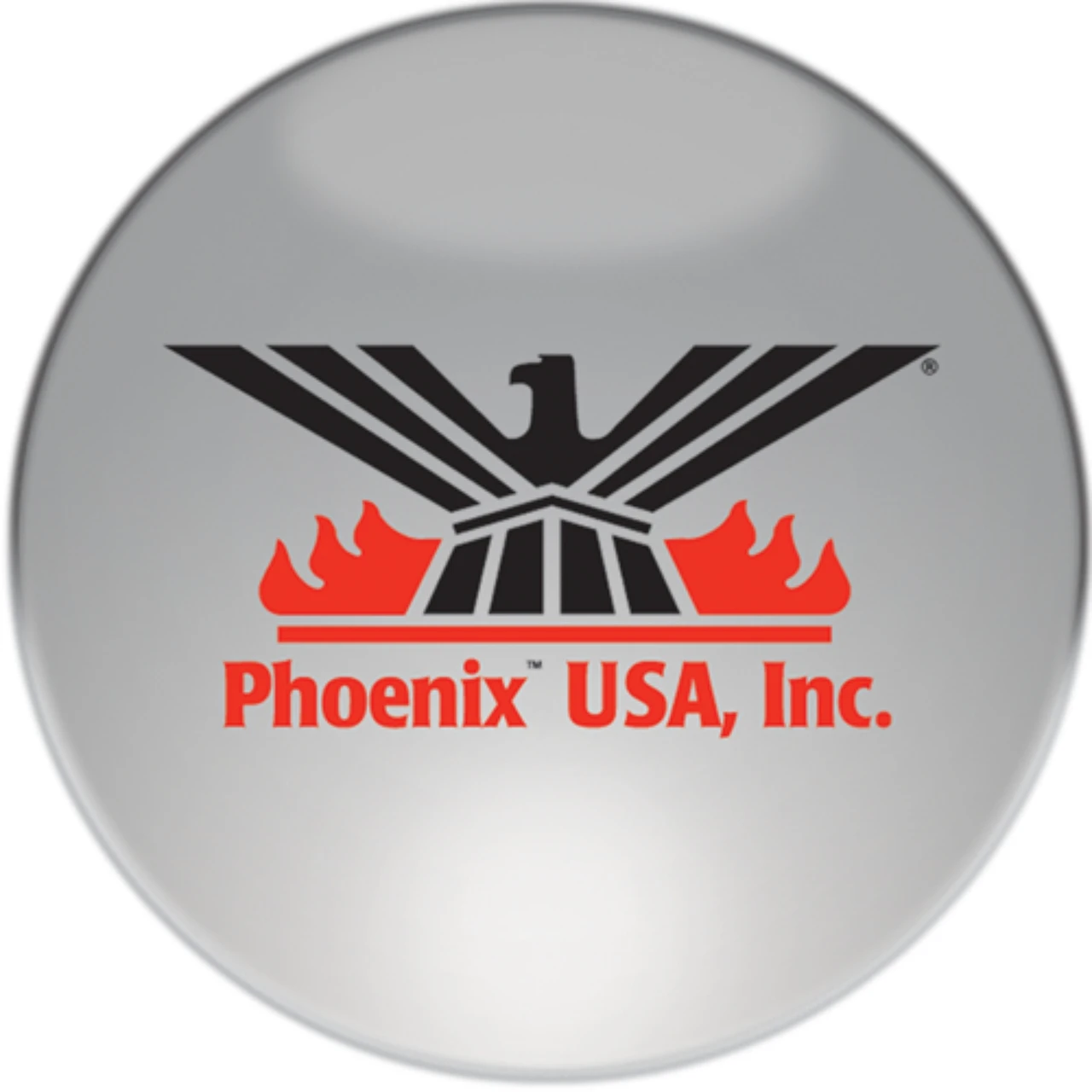 Phoenix USA 6"x3" Embossed Toolbox Logo (CLPH63)