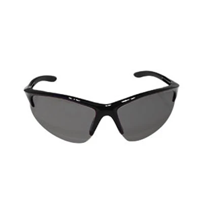SAS Safety 540-0601 DB2 Safety Glasses with Shaded Lens