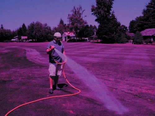 Underhill Turfspy Purple Glasses (NG655-01) — product image 5