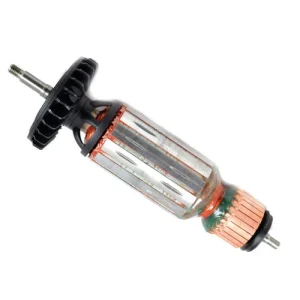 Walter Armature Complete, 120V (48M626)