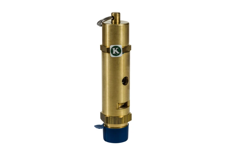 Walter Safety Relief Valve (53M025)